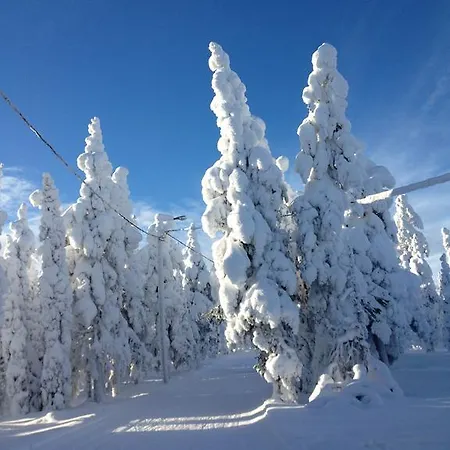 Апартаменты Lumberjack